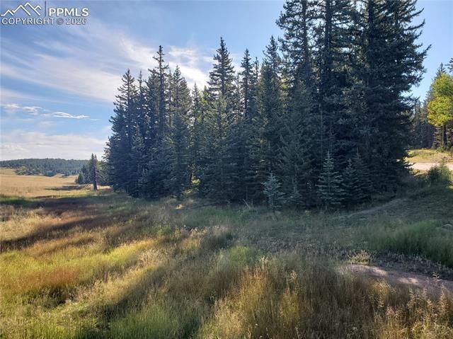309 Pinaceae Heights, Divide, CO 80814
