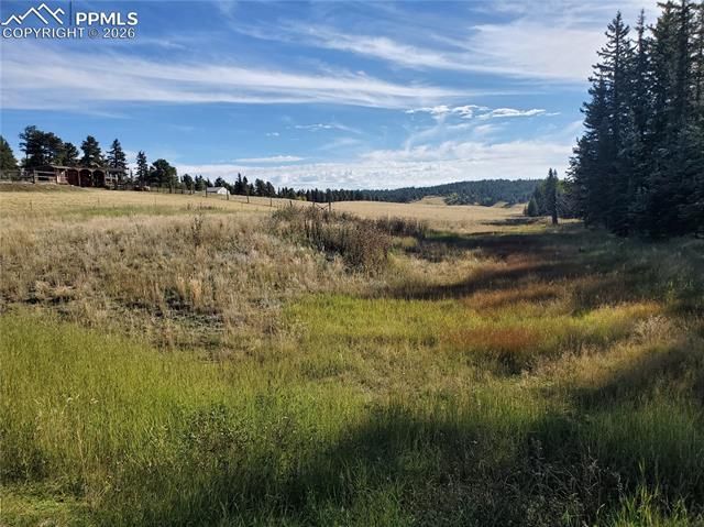 309 Pinaceae Heights, Divide, CO 80814