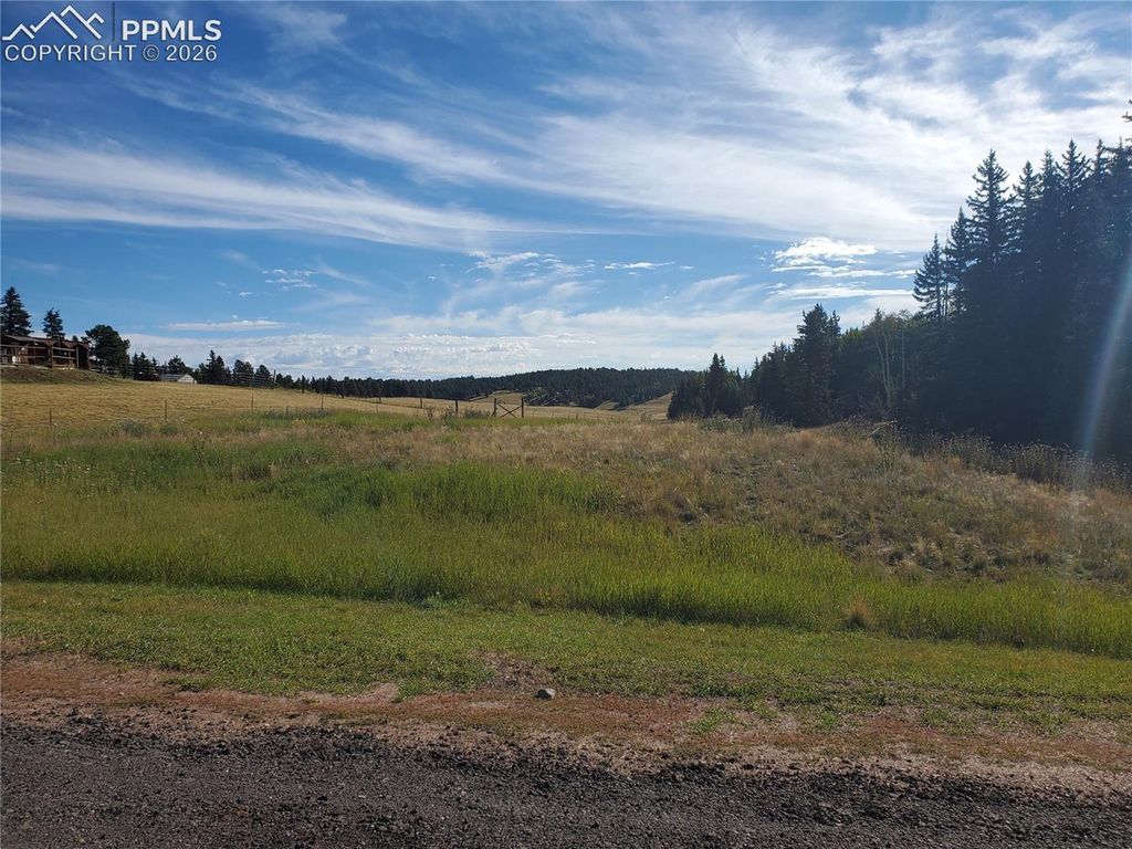 309 Pinaceae Heights, Divide, CO 80814 — photo 2