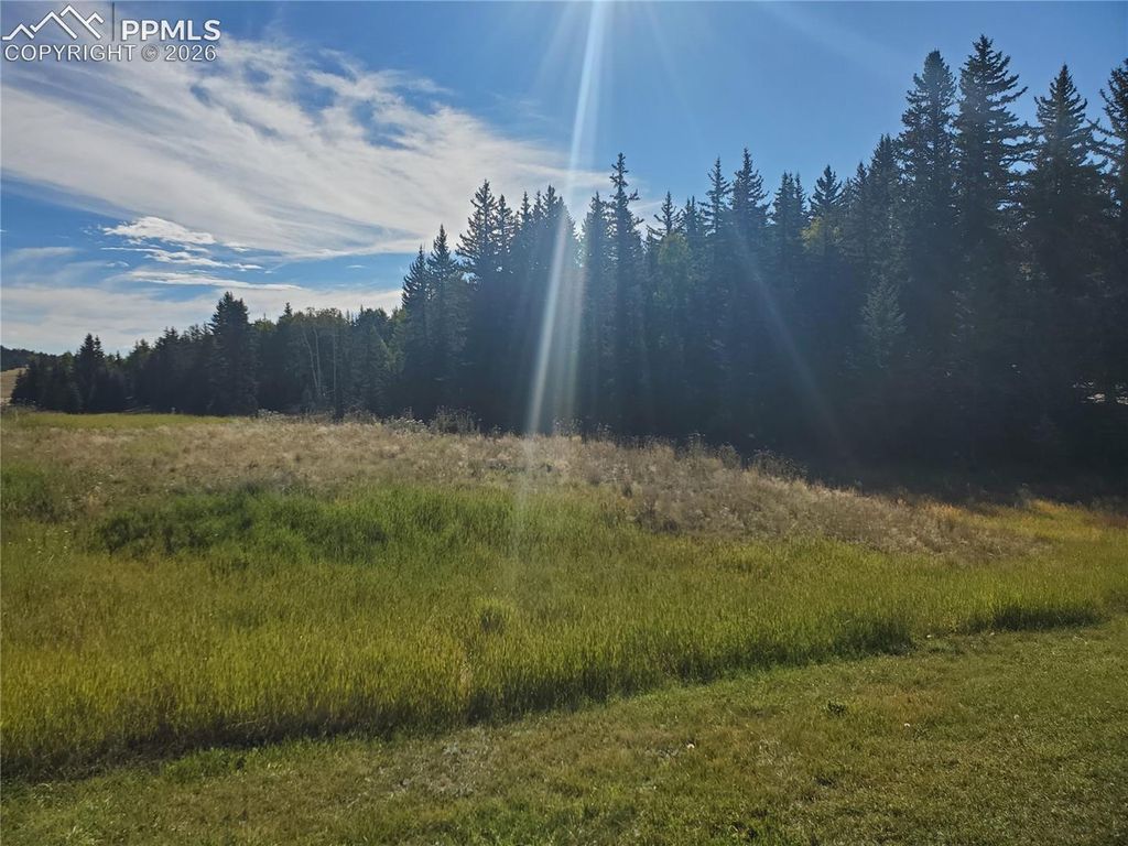 309 Pinaceae Heights, Divide, CO 80814 — photo 5