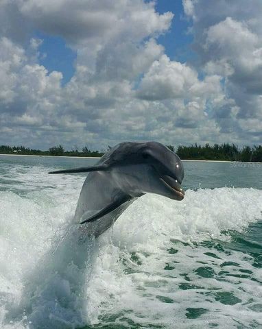 1761 AUBURN LAKES DRIVE 11, Venice, FL 34292