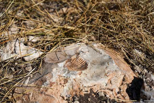 1792 SD 52300, Rocksprings, TX 78880