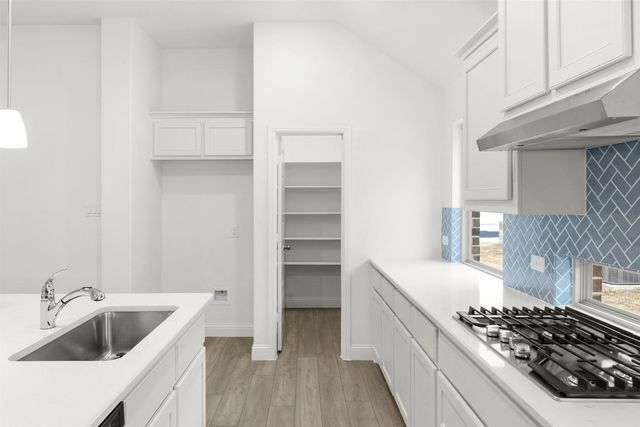 3821 Maize Avenue, Heartland, TX 75114