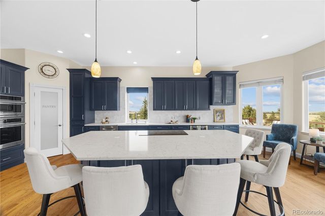 1016 Amanda Pines Drive, Parker, CO 80138