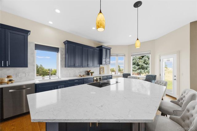 1016 Amanda Pines Drive, Parker, CO 80138