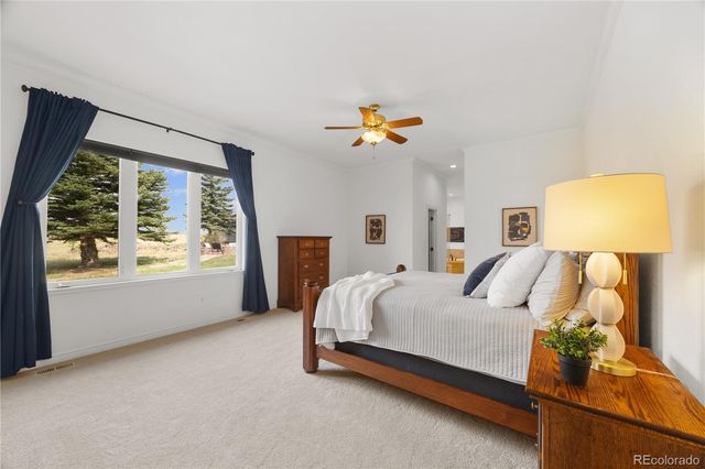 1016 Amanda Pines Drive, Parker, CO 80138