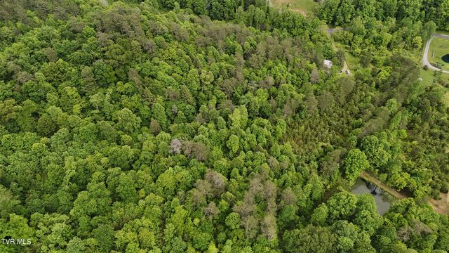 Tbd Early Branch Road, Rogersville, TN 37857