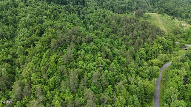 Tbd Early Branch Road, Rogersville, TN 37857