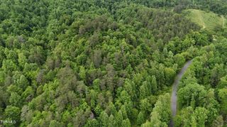 Tbd Early Branch Road, Rogersville, TN 37857