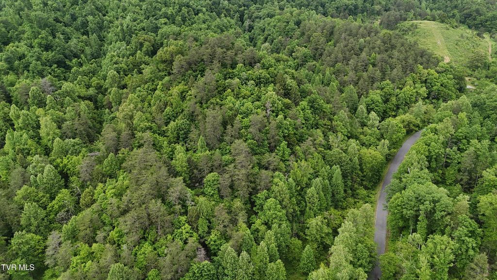 Tbd Early Branch Road, Rogersville, TN 37857
