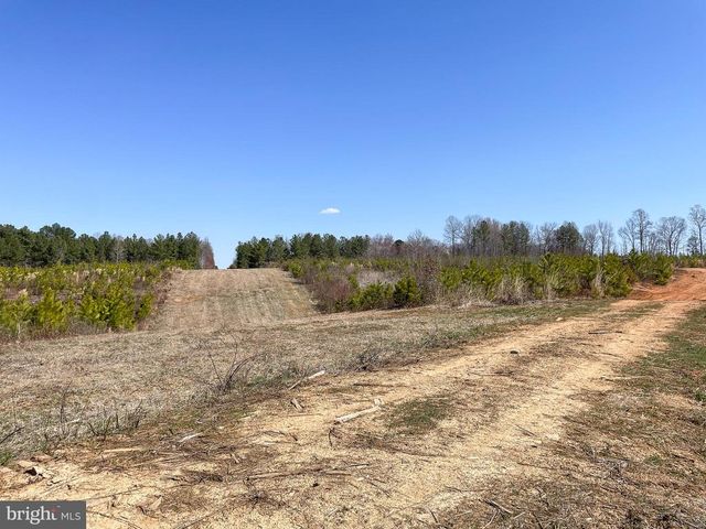 YELLOWBOTTOM RD, Lignum, VA 22726