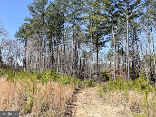 YELLOWBOTTOM RD, Lignum, VA 22726