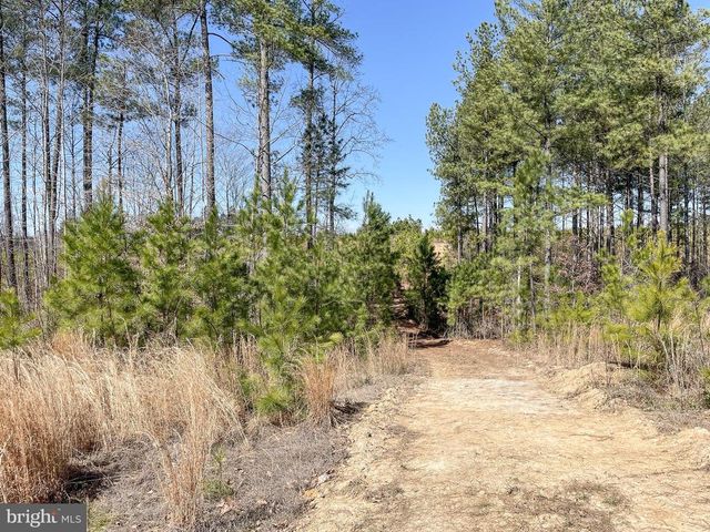 YELLOWBOTTOM RD, Lignum, VA 22726