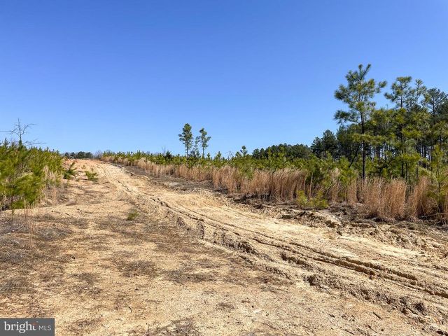 YELLOWBOTTOM RD, Lignum, VA 22726