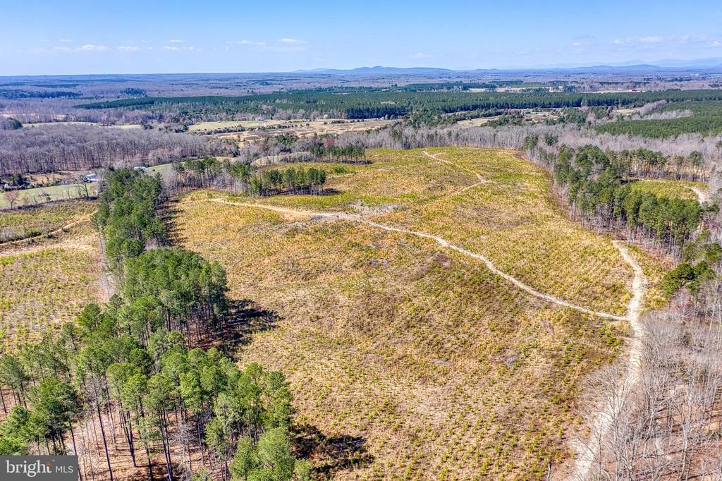 YELLOWBOTTOM RD, Lignum, VA 22726