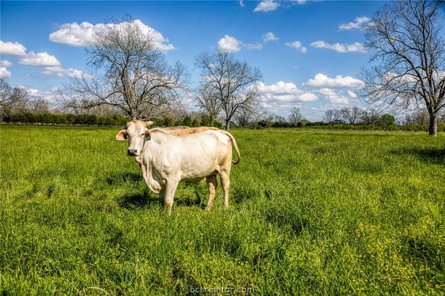 42493 FM 1458 Road, Pattison, TX 77423