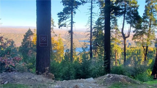 26 Peak Circle, Crestline, CA 92322