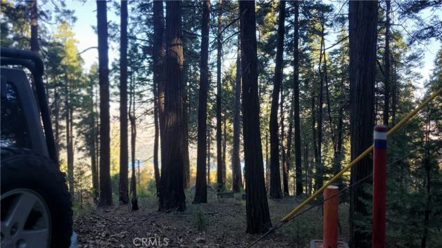 26 Peak Circle, Crestline, CA 92322
