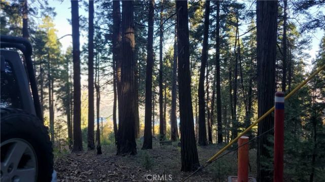 26 Peak Circle, Crestline, CA 92322