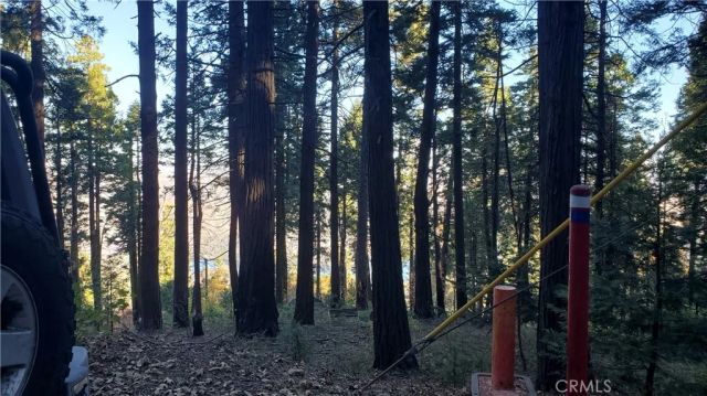 26 Peak Circle, Crestline, CA 92322
