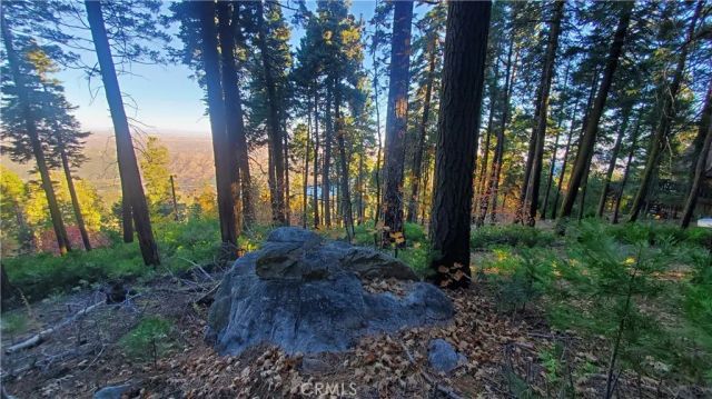 26 Peak Circle, Crestline, CA 92322