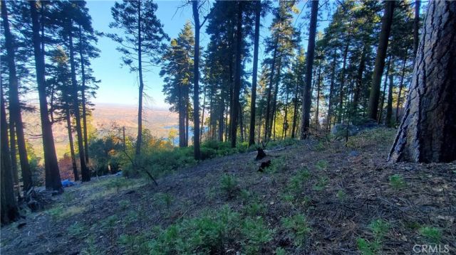 26 Peak Circle, Crestline, CA 92322