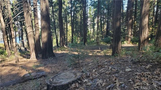 26 Peak Circle, Crestline, CA 92322