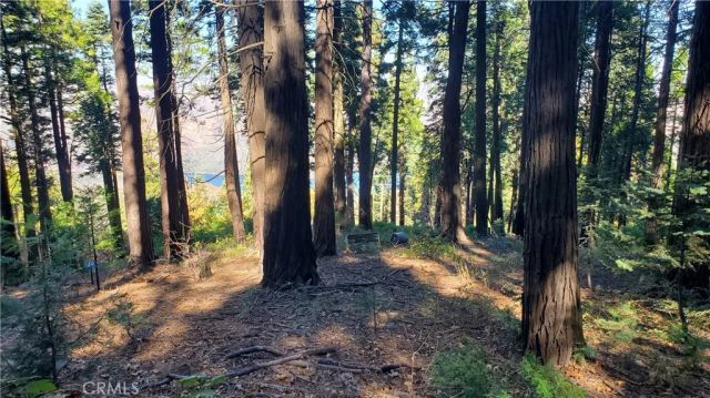 26 Peak Circle, Crestline, CA 92322
