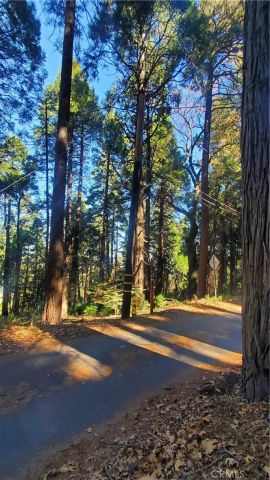 26 Peak Circle, Crestline, CA 92322