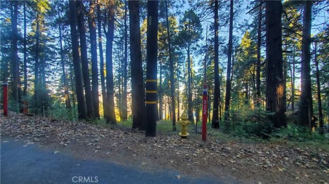 26 Peak Circle, Crestline, CA 92322