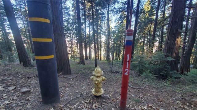 26 Peak Circle, Crestline, CA 92322