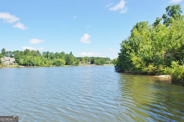 97 Horizon Hill, Newnan, GA 30265