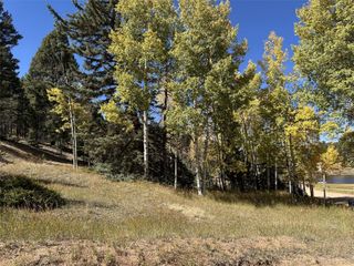 244 Spring Valley Lane, Florissant, CO 80816