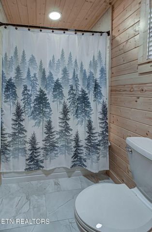 214 Forrest Loop Way, Gatlinburg, TN 37738