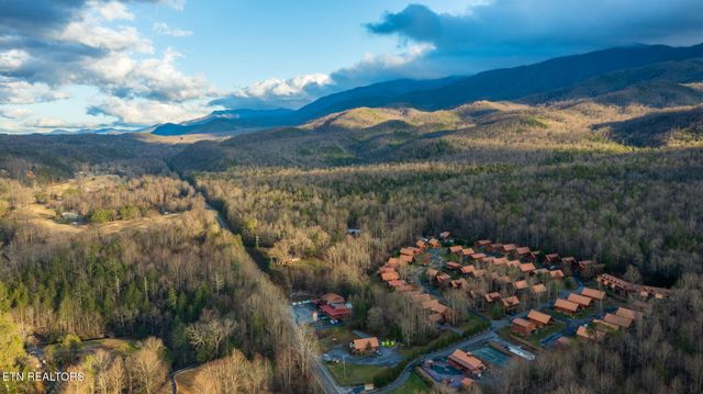 214 Forrest Loop Way, Gatlinburg, TN 37738