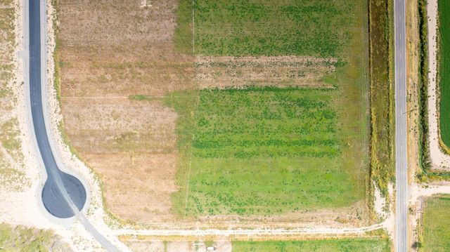 2175 Star Vista Court, Grand Junction, CO 81505