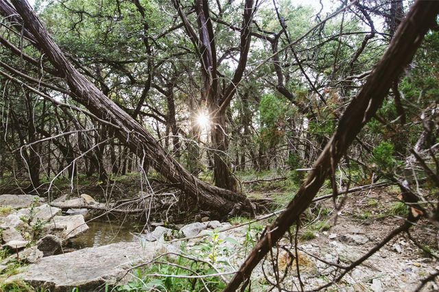 806 Bell Springs RD, Dripping Springs, TX 78620