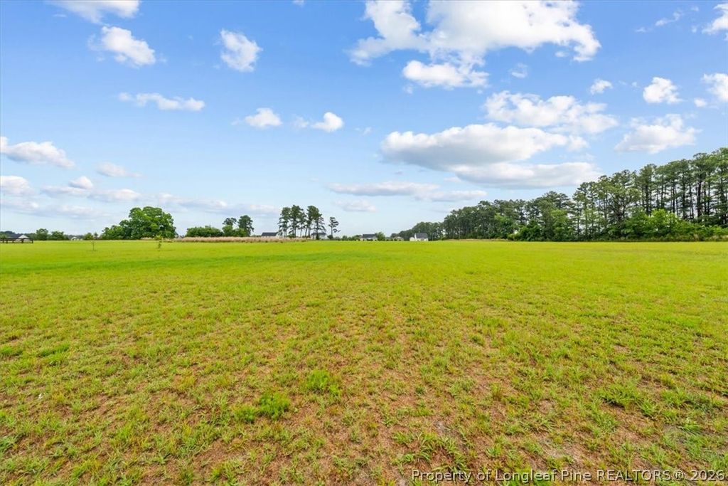 158 Rocking Horse Lane, Raeford, NC 28376 — photo 2