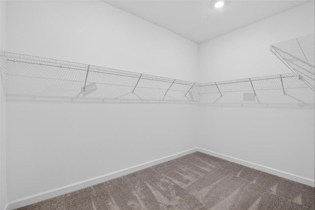 17403 HOLLY WELL AVENUE, Wimauma, FL 33598