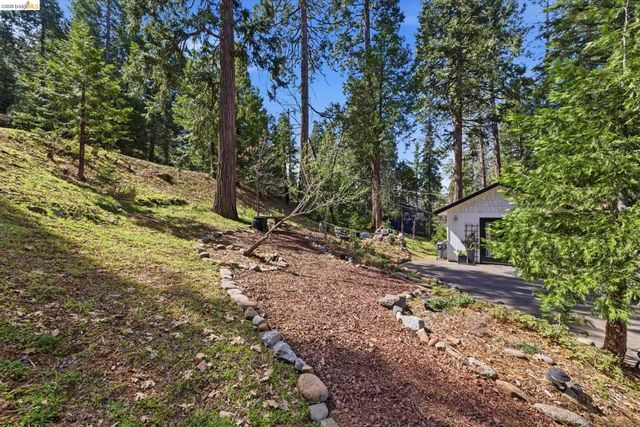 19565 Wanita Ln, Twain Harte, CA 95383