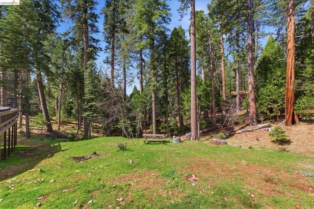 19565 Wanita Ln, Twain Harte, CA 95383