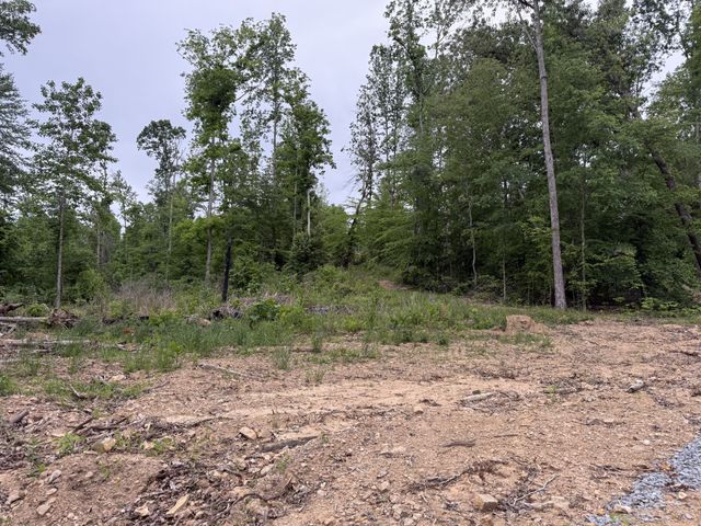 2995 Hwy 231, Erin, TN 37061