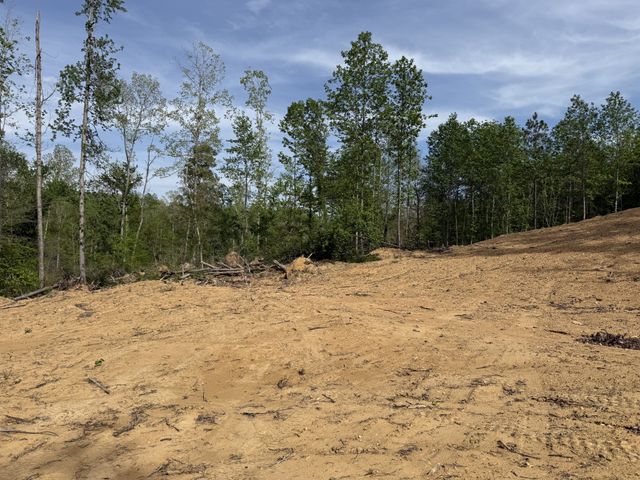 2995 Hwy 231, Erin, TN 37061
