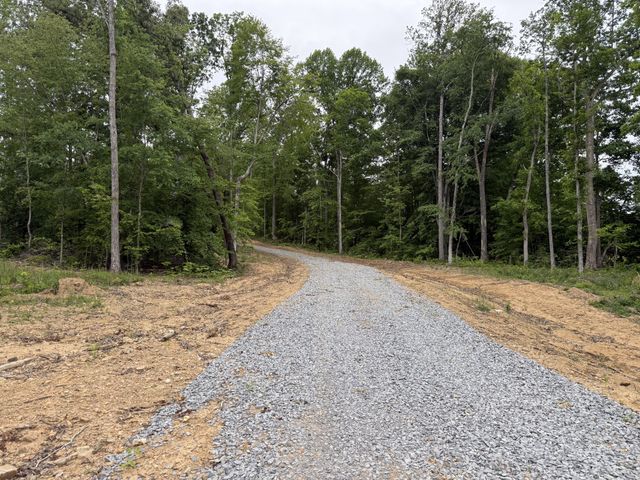 2995 Hwy 231, Erin, TN 37061