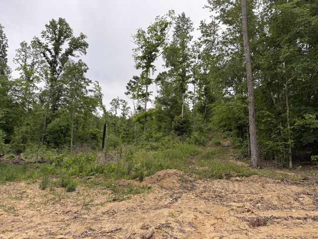 2995 Hwy 231, Erin, TN 37061