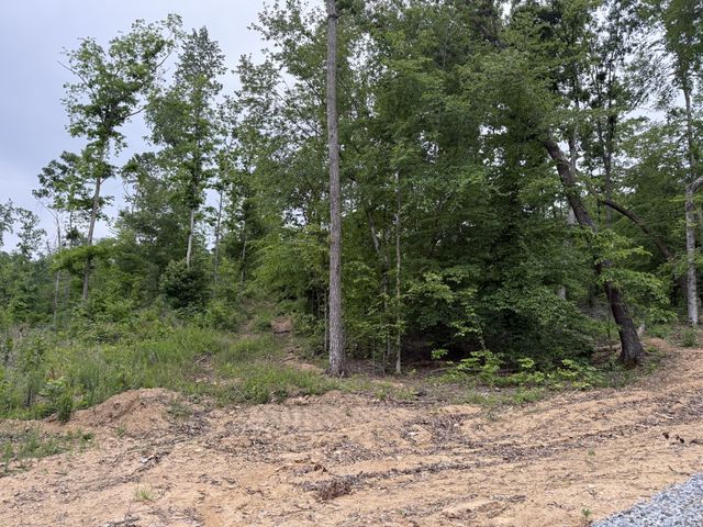 2995 Hwy 231, Erin, TN 37061