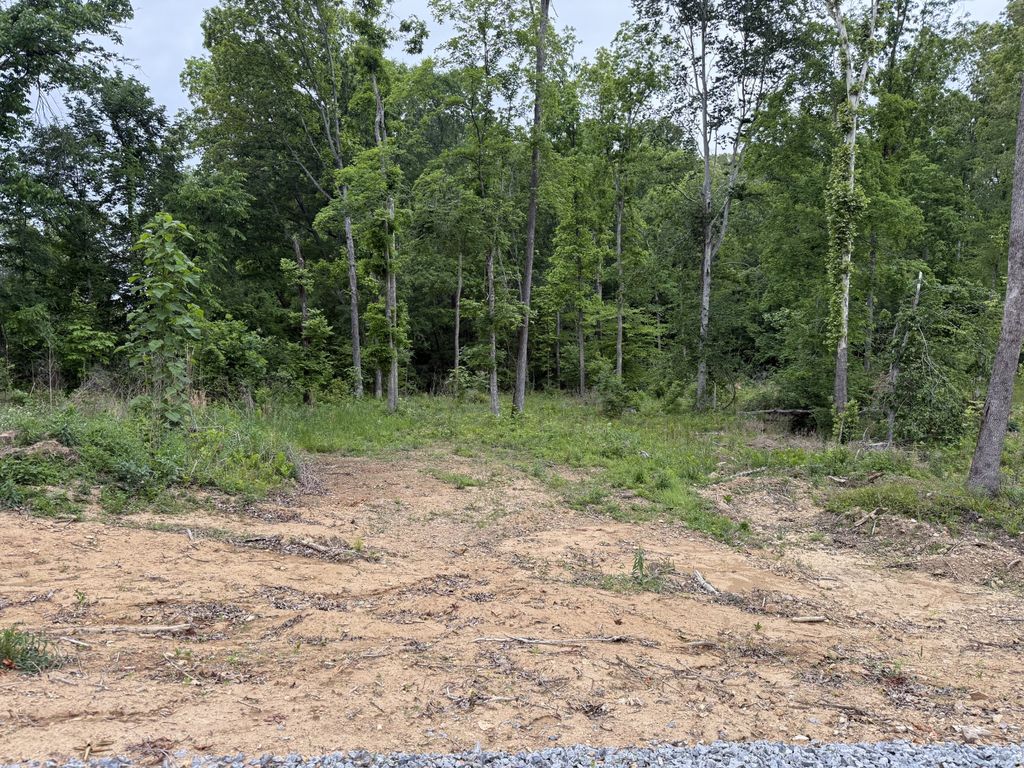 2995 Hwy 231, Erin, TN 37061