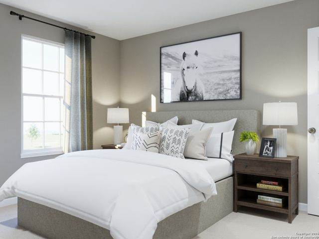 8554 Catnip Pass, Elmendorf, TX 78112