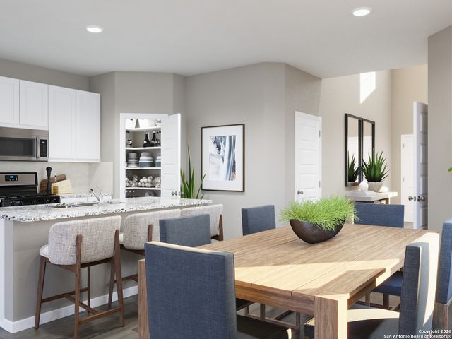 8554 Catnip Pass, Elmendorf, TX 78112