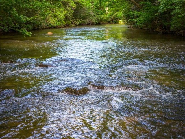 60 Magnolia Trail, Mccaysville, GA 30555
